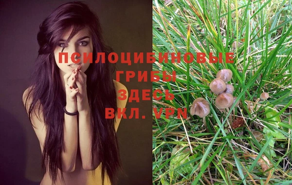 MESCALINE Нефтекумск