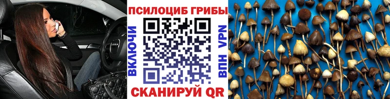 Псилоцибиновые грибы прущие грибы Уфа